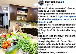 Đàm Vĩnh Hưng nổi đóa vì bị tố làm màu, khoe rau củ giữa mùa dịch