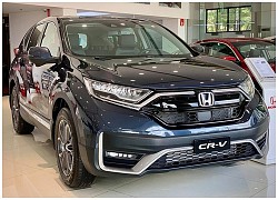 Giảm giá trăm triệu, nhiều xe SUV hot vẫn "ế ẩm" vì vướng dịch bệnh