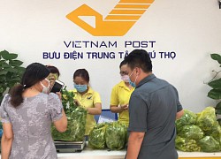 Hàng chục tấn rau củ tiếp tục đến với người dân TP Hồ Chí Minh qua Bưu điện