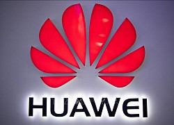 Huawei thúc đẩy chống biến đổi khí hậu bằng cách mạng công nghiệp xanh