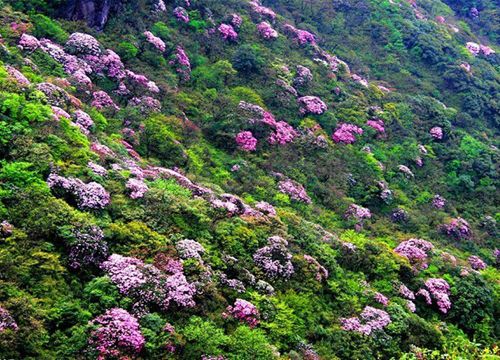 Lên đỉnh Putaleng Lai Châu: Cao đến độ liếc mắt thấy Phan Xi Păng