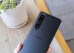 Sony đang trở lại thị trường di động