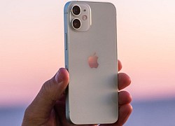 Vì sao Apple khai tử iPhone 12 Mini?