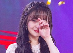 2h sáng Trịnh Sảng vẫy vùng kêu cứu: Chật vật mưu sinh ở Mỹ, dè sẻn cả giấy vệ sinh, điên cuồng cầu xin quay lại showbiz
