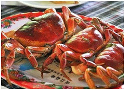 Bản đồ ẩm thực: Cua đá Cù Lao Chàm đặc sản phải thử khi đến Hội An