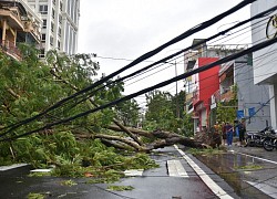 Bão số 3 giật cấp 11, bắc Biển Đông sắp có sóng cao 5 m