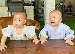 Cặp song sinh trái ngược nhà Hà Hồ: Leon nói ê a, còn Lisa tự đứng