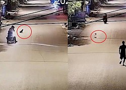 Chú chó 3 lần thoát khỏi vòng vây, còn "cà khịa" ngược lại "cẩu tặc"