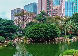 Công viên Cửu Long Trại Thành - 'thành phố bóng tối' của Hồng Kông