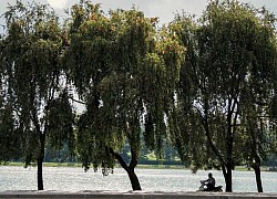 Đà Lạt lặng lẽ trong mắt người làm du lịch