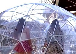 Đứng trong bong bóng để nghe hòa nhạc ngoài trời