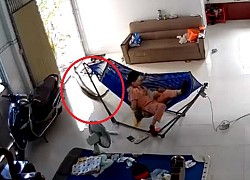 Kinh hoàng con trăn ngóc đầu &#8216;ngửi ngửi&#8217; em bé đang nằm võng: Bị thu hút bởi mùi sữa mẹ?