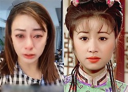 Lâm Tâm Như bị tố hãm hại Lý Đình Nghi khiến cô mất vai Tiểu Yến Tử trong Hoàn Châu Cách Cách