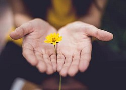 Mẹo hay giúp 12 chòm sao thu phục lòng người dễ như trở bàn tay!