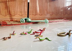 Nghỉ dịch ở nhà, bé gái cùng ông đem đất nặn ra chơi, nhìn thành phẩm mà dân mạng té xỉu