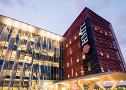 Ngôi trường mới mở ngành học phí gần 1 tỷ đồng/khóa: Nhìn mức lương thì đúng là "thả con săn sắt bắt con cá rô"
