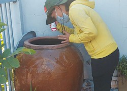 Phòng, chống sốt xuất huyết dựa vào cộng đồng