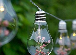 Tử vi ngày 20/7/2021 của 12 cung hoàng đạo: Xử Nữ cơ hội tỏa sáng