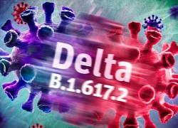 7 điều cần biết về biến chủng Delta