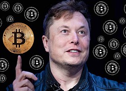 Đây là lý do tại quyết định nắm giữ Bitcoin trong dài hạn của Elon Musk là khoản đầu tư hiệu quả