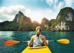 Đi chèo thuyền kayak, người đàn ông kinh ngạc chứng kiến sinh vật bí ẩn qua sông, càng nhìn càng hoang mang