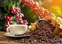 Giá cà phê hôm nay 22/7: Đảo chiều bật tăng mạnh, arabica tiệm cận ngưỡng 180 Cent; Sự lo ngại hàng đầu của giới đầu tư đã đến