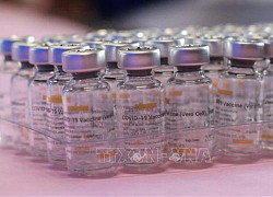 Indonesia tiếp nhận thêm 8 triệu liều vaccine Sinovac