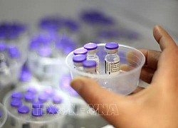 Pfizer/BioNTech triển khai sản xuất vaccine ở Nam Phi