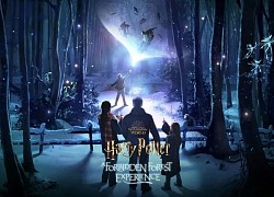 Sắp ra mắt công viên chủ đề 'Harry Potter: Trải nghiệm trong Rừng Cấm'