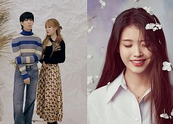 Siêu năng lực nào đã "đẩy thuyền" cho 2 "khủng long nhạc số" AKMU và IU kết hợp trong album sắp tới?