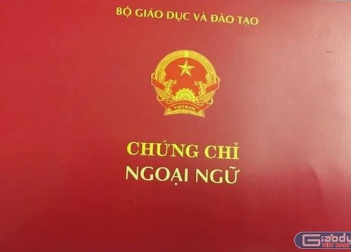 Sinh viên "kêu trời" vì chuẩn đầu ra đòi hỏi chứng chỉ Tin học, tiếng Anh