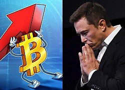 Tesla mất hết lợi nhuận từ Bitcoin nếu giá về dưới 30.000 USD