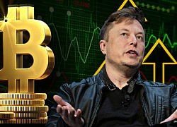 Tỉ phú Elon Musk: 'Tôi muốn thấy Bitcoin thành công'