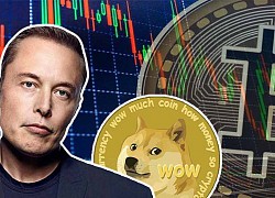 Cùng nhìn lại 10 lần Elon Musk làm điên đảo thị trường tiền số trong một năm qua