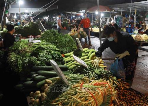 Phối hợp cùng doanh nghiệp lên phương án thu hoạch, tiêu thụ nông sản