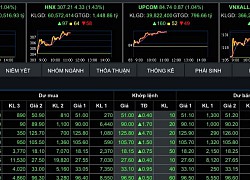 Sắc xanh lan tỏa rộng, VN-Index bật cao