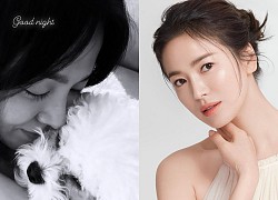 Song Hye Kyo đăng ảnh với cún cưng, vô tình lộ nhan sắc thật khi để mặt mộc ở nhà giữa mùa dịch