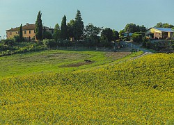 Tuscany - vùng đất làm say lòng bao du khách