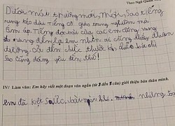 Học trò 'kiệt sức' trước đề bài của giáo viên