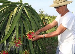 Linh hoạt tiêu thụ hàng hóa, nông sản cho dân