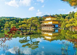 Ngắm cảnh, thưởng trà và đi tìm tình yêu khi du lịch Kyoto Nhật Bản