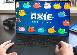 Người chơi Axie Infinity vào tầm ngắm của lừa đảo mạng