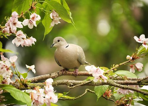 Người sinh vào 3 tháng Âm lịch này biết "kích hoạt" năng lực, giỏi kiếm tiền, dễ thăng tiến