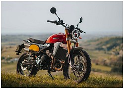 Top 10 môtô scrambler tốt nhất năm 2021