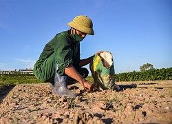 Bắc Bộ và Trung Bộ nắng nóng, áp thấp nhiệt đới nguy cơ mạnh lên thành bão