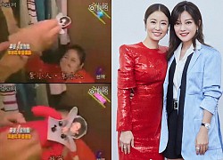 23 năm trước showbiz rúng động vì hình ảnh Lâm Tâm Như "trù ẻo" Triệu Vy bằng hình nộm châm kim, thực hư ra sao?