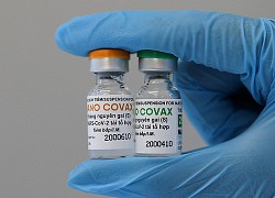 Chưa đề xuất cấp phép vaccine Nanocovax