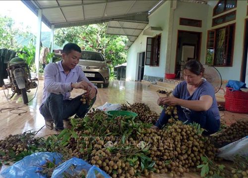 Hoàn thiện cơ sở dữ liệu cung cầu nông sản khu vực phía Bắc