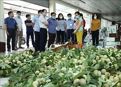 Na Chi Lăng, bưởi Phúc Trạch đến với người tiêu dùng qua sàn thương mại điện tử