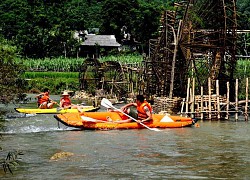 Những khu nghỉ dưỡng ở miền Bắc ẩn trong rừng cây